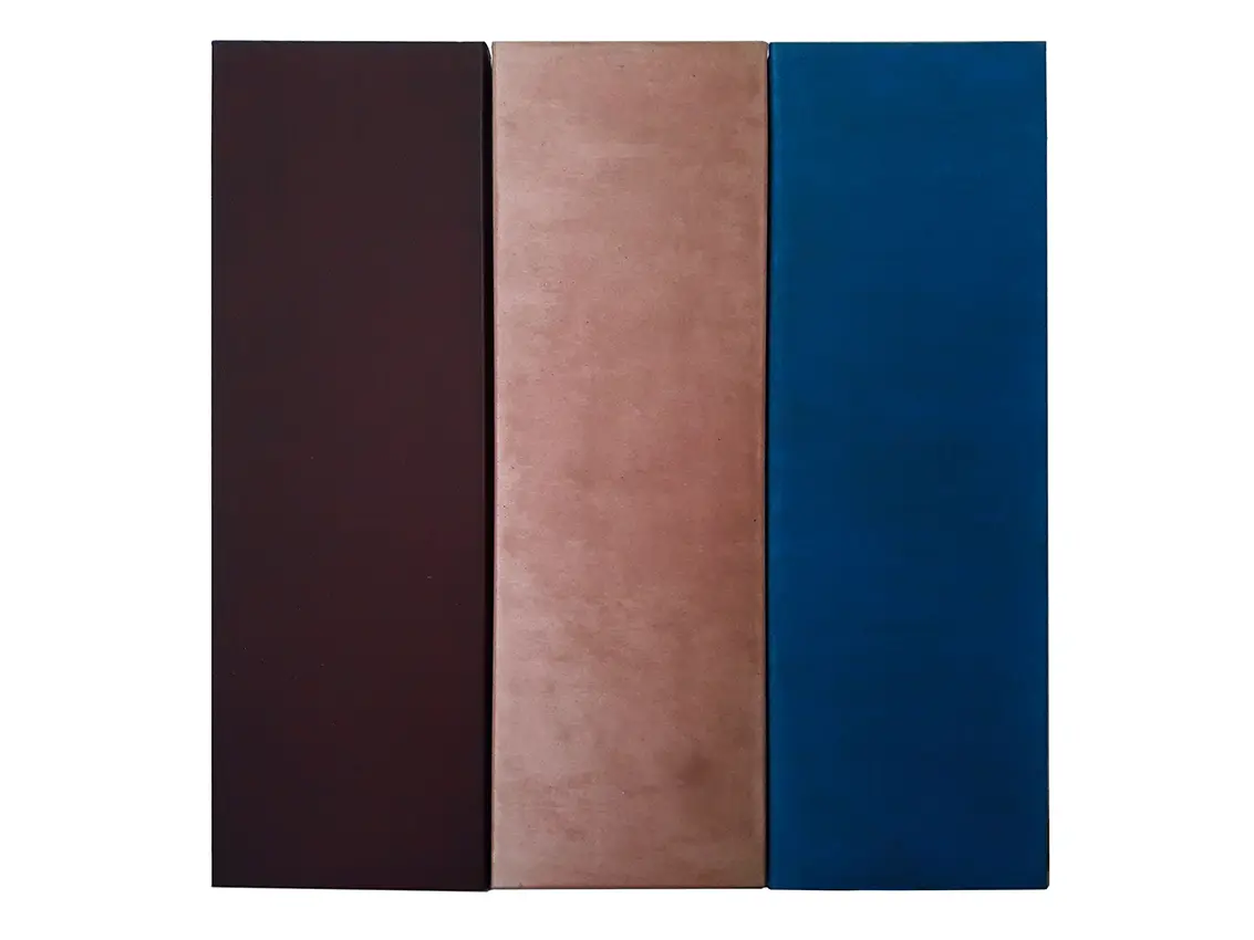 I Don't Like any Colors/Nie Lubię Kolorów, 2016