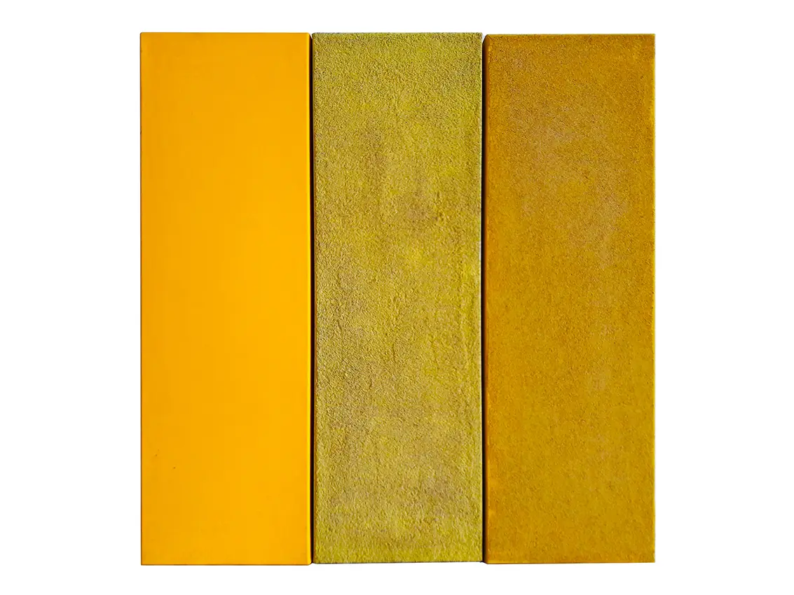 I Don't Like any Colors/Nie Lubię Kolorów, 2016