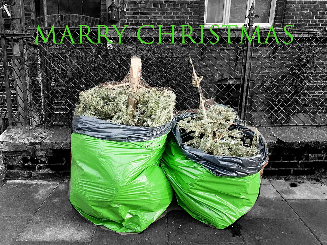 Marry Christmas, 2023