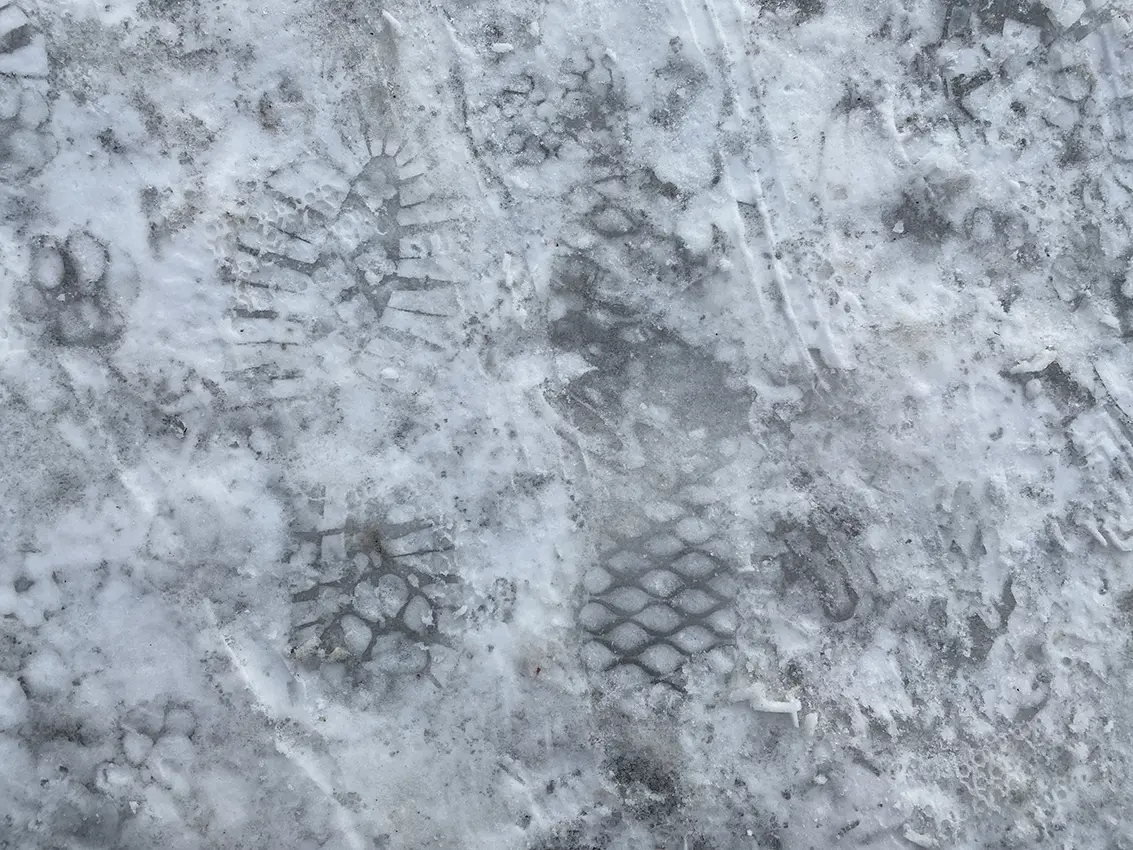 Ślady Przejścia / Traces of Passage, 2023