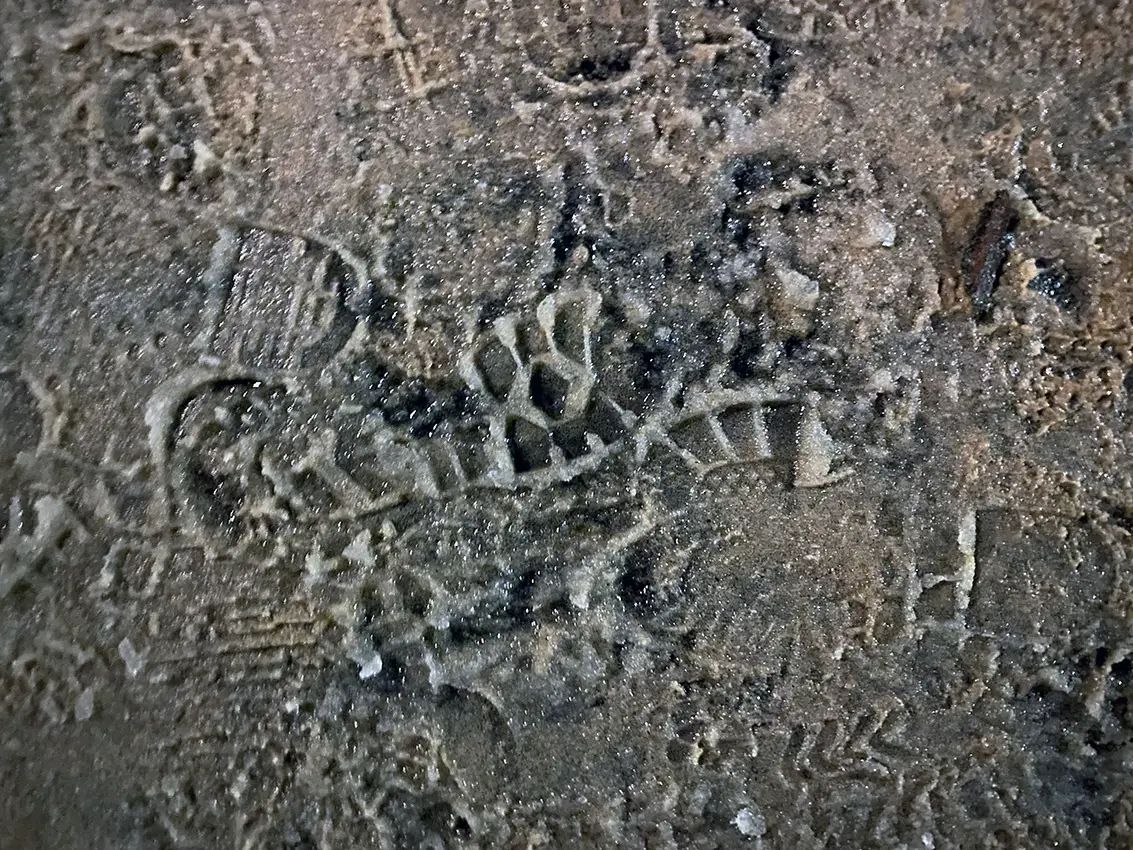 Ślady Przejścia / Traces of Passage, 2023