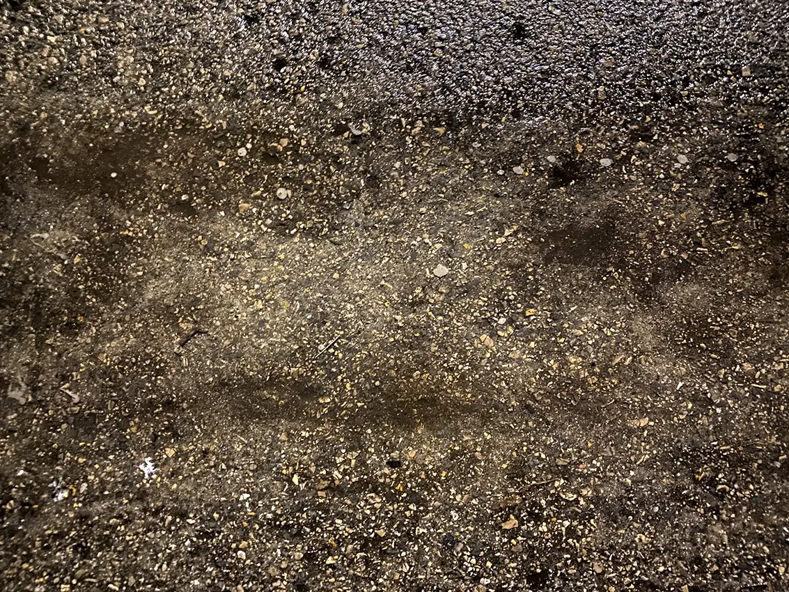 Ślady Przejścia / Traces of Passage, 2023