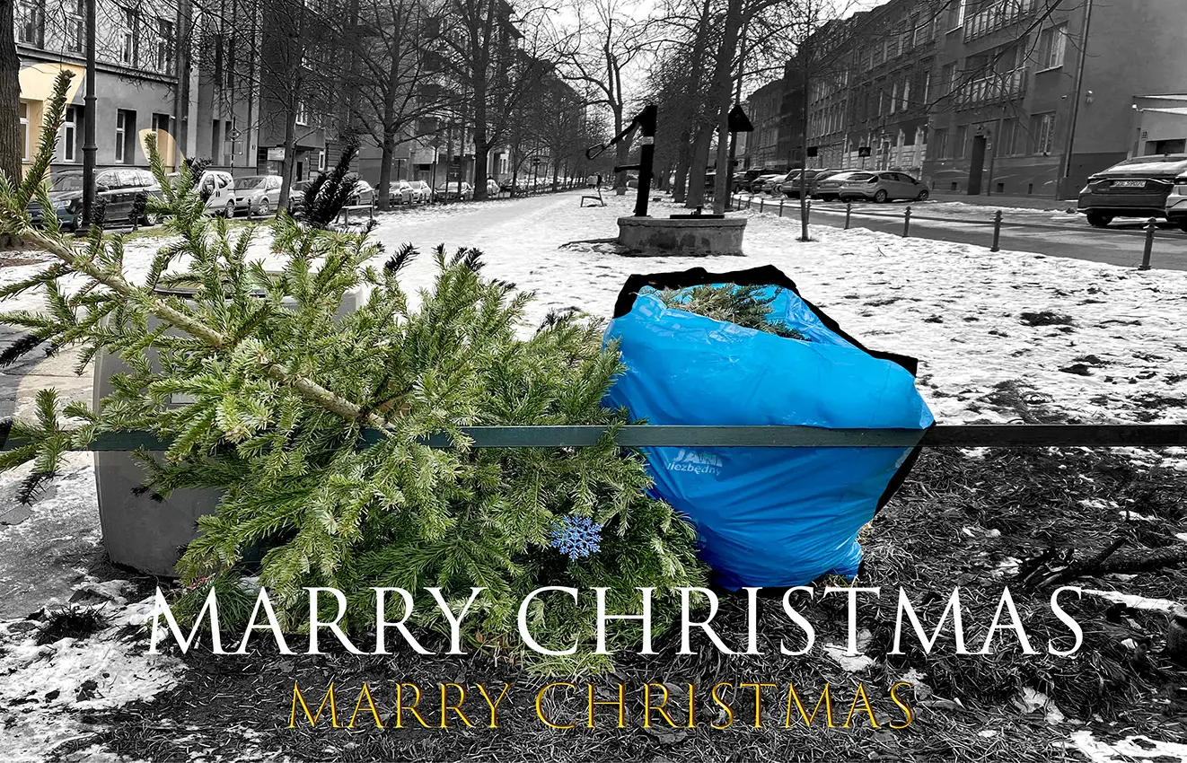 Marry Christmas, 2023