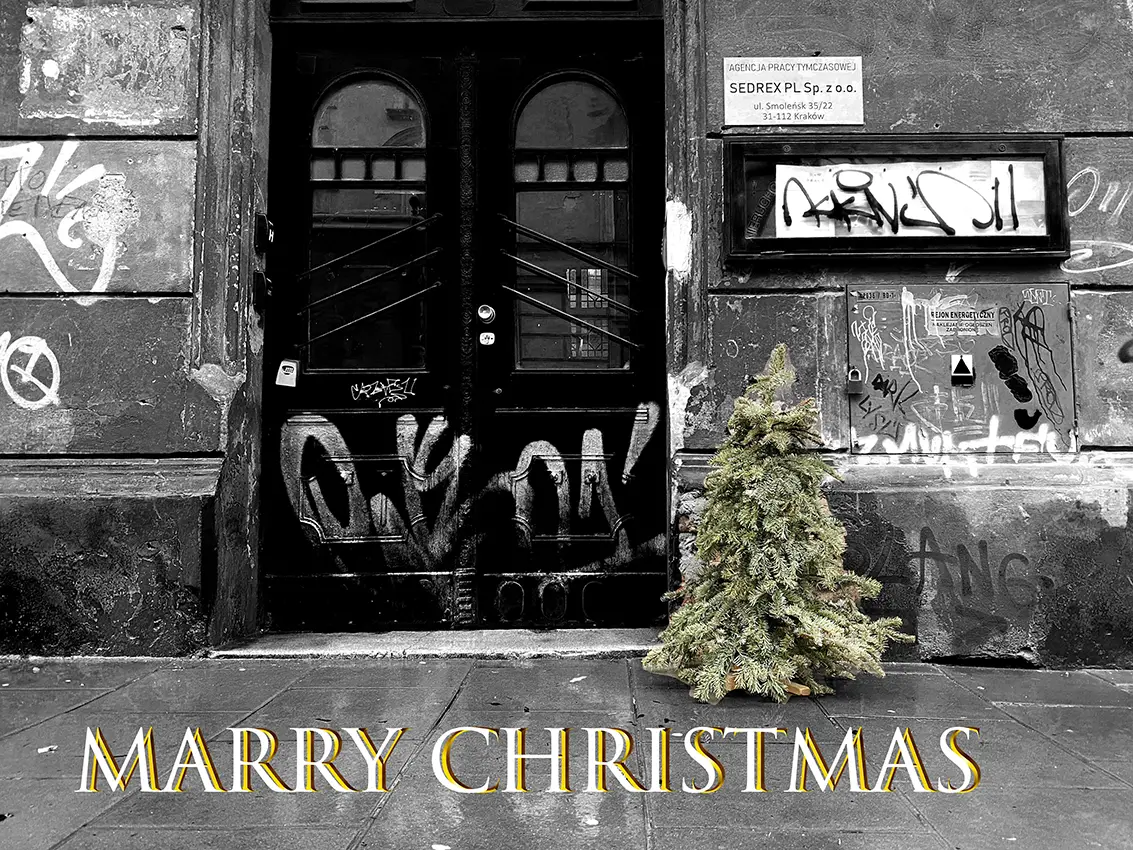 Marry Christmas, 2023