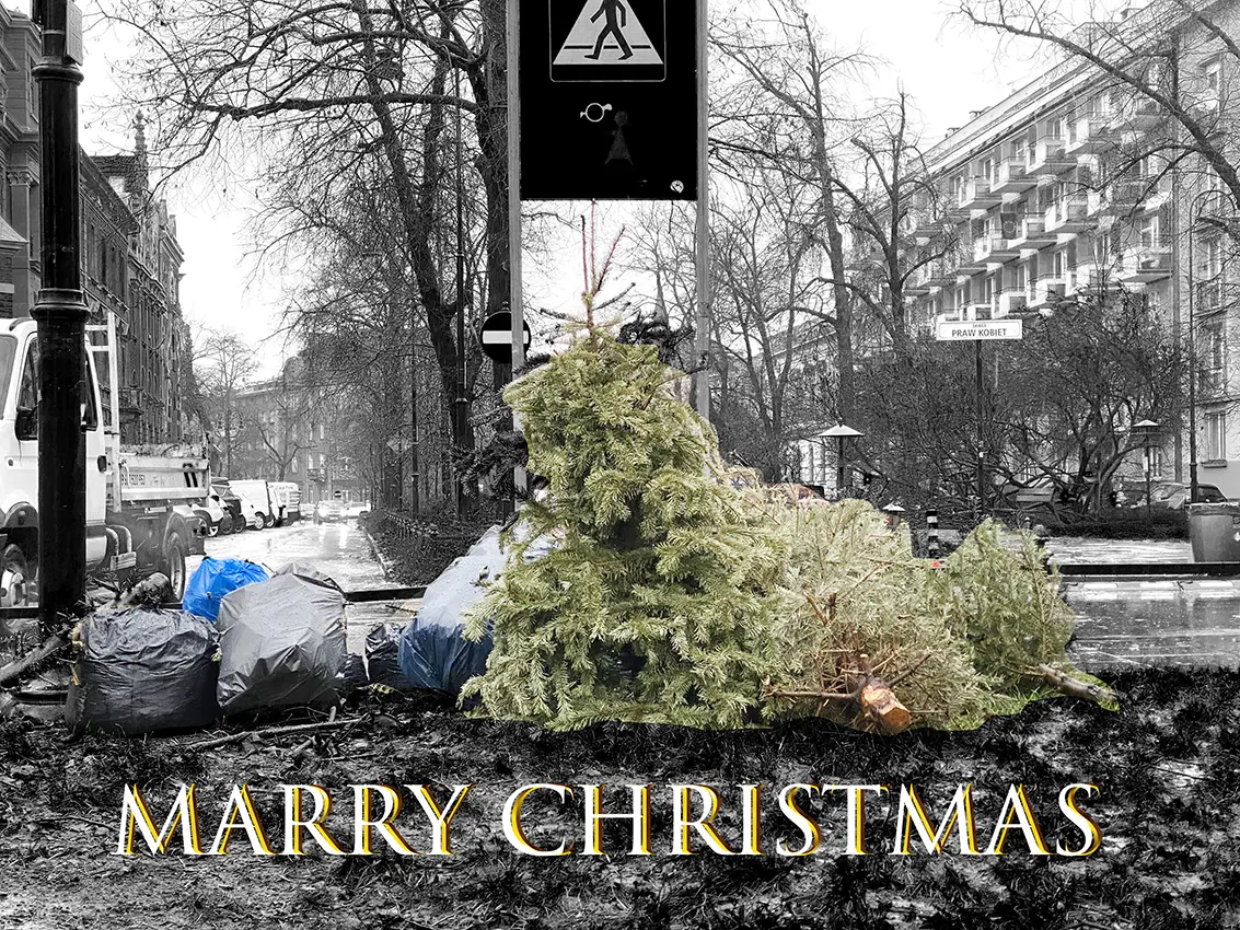 Marry Christmas, 2023