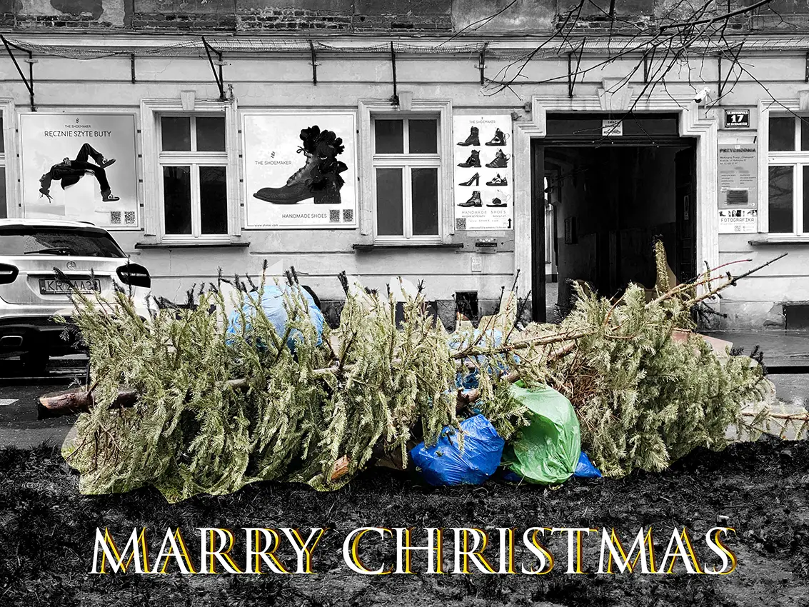 Marry Christmas, 2023