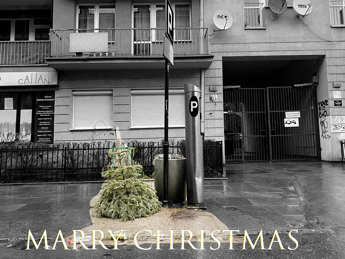 Marry Christmas, 2023