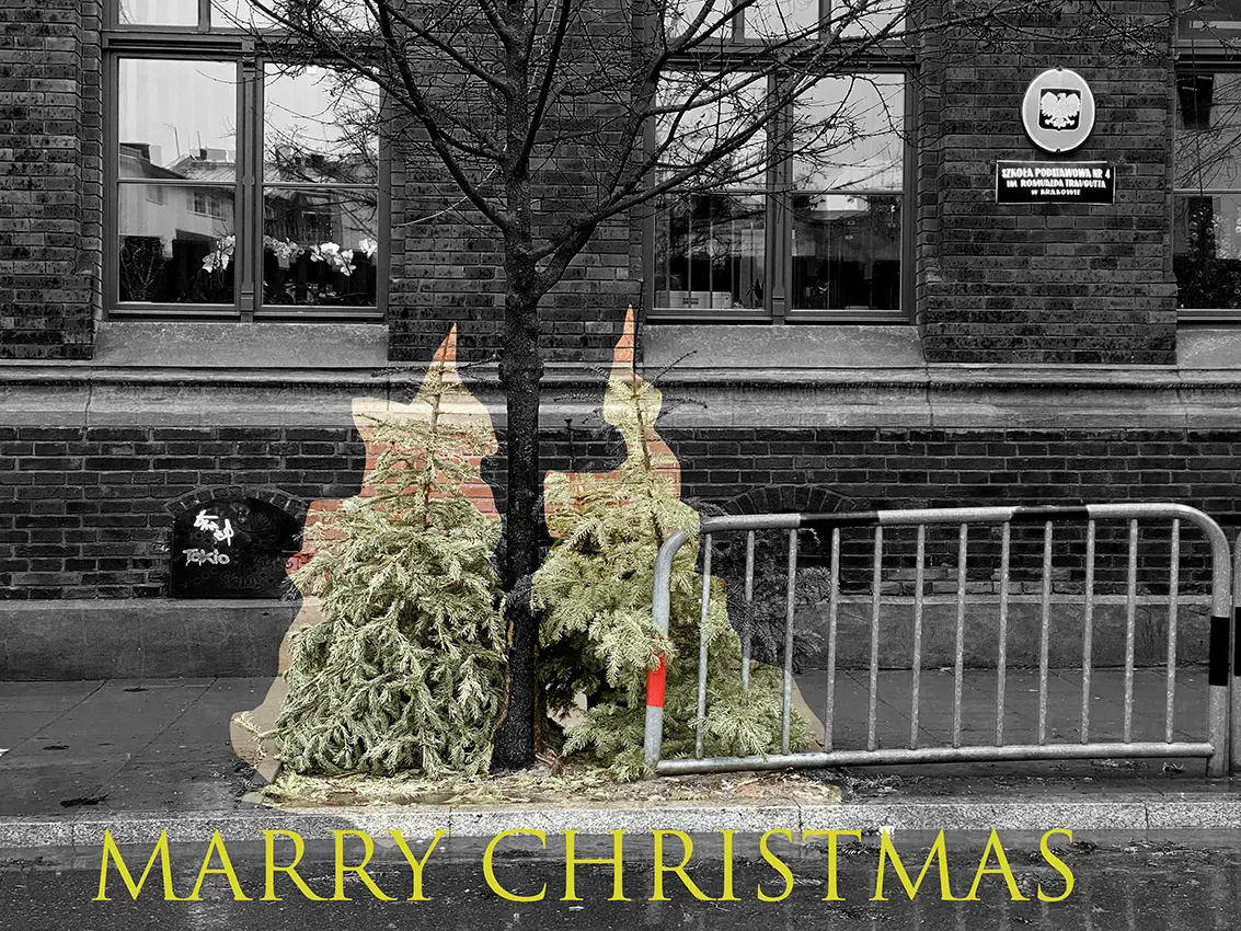 Marry Christmas, 2023