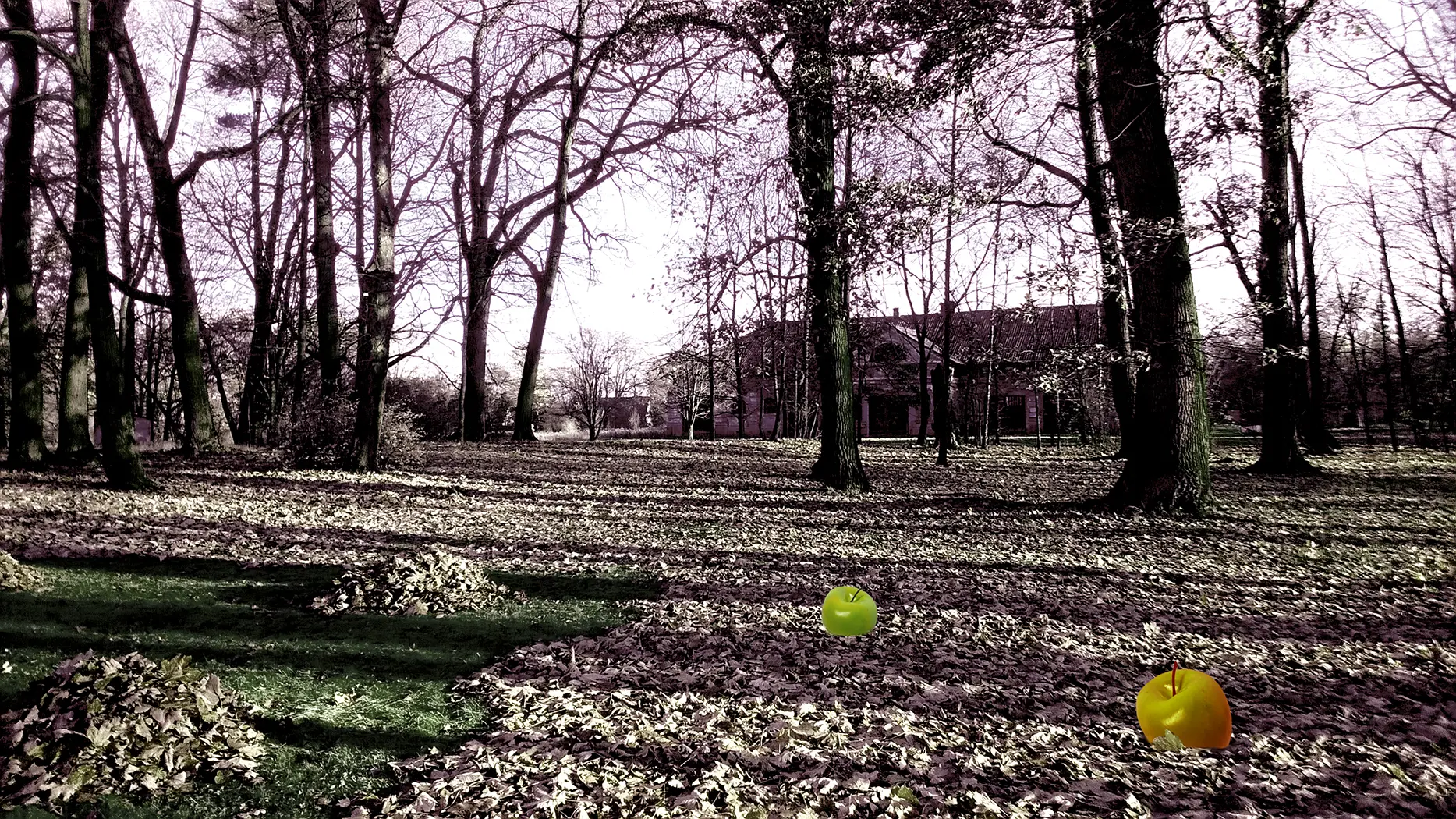 Ogrody / Gardens, 2020
