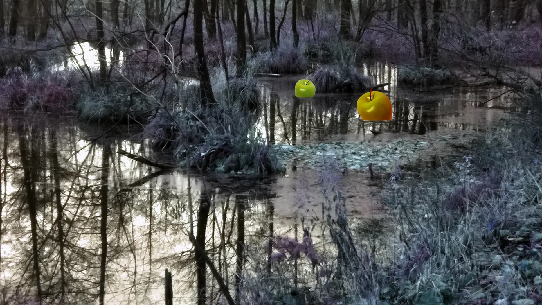 Ogrody / Gardens, 2020